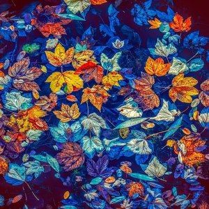 Meet your Posher, Mindy